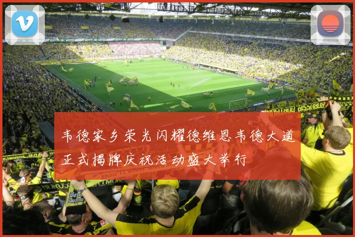 韦德家乡荣光闪耀德维恩韦德大道正式揭牌庆祝活动盛大举行