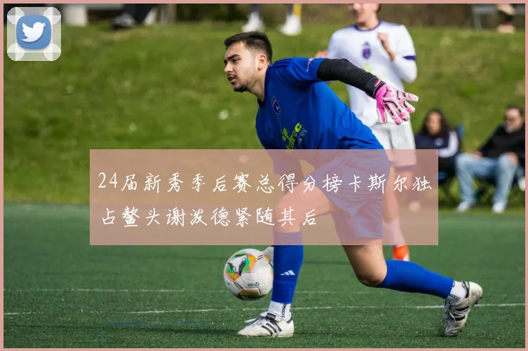 24届新秀季后赛总得分榜卡斯尔独占鳌头谢泼德紧随其后