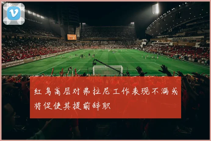 红鸟高层对弗拉尼工作表现不满或将促使其提前辞职